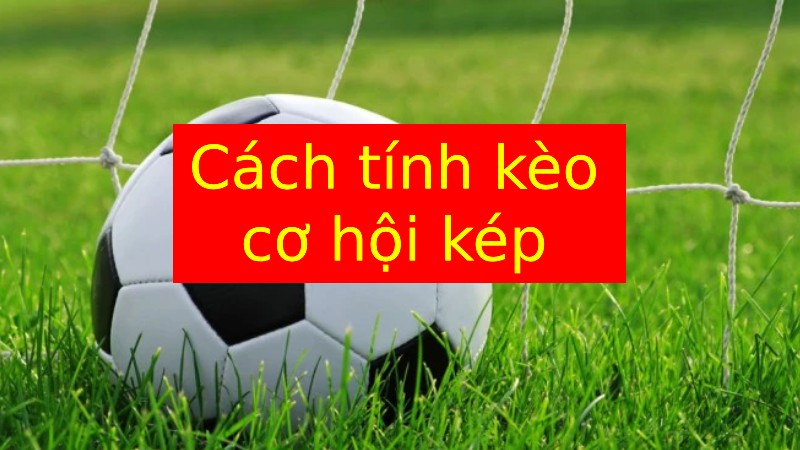 Cược cơ hội kép là gì