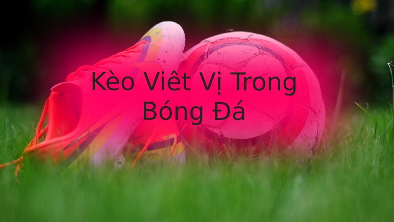 Cược việt vị là gì